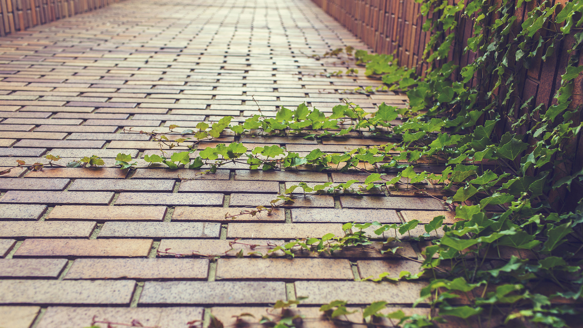 小小不倒翁的个人主页（封面预览） - 主页封面设置 - 站酷设计师小小不倒翁原创素材 - 站酷ZCOOL