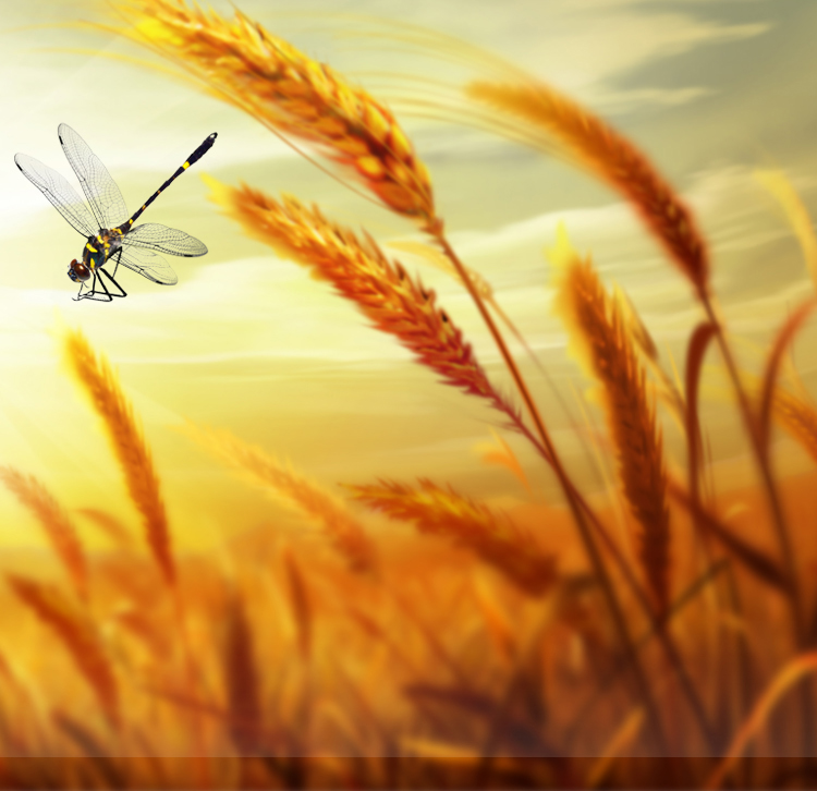 一只麋鹿一直迷路的个人主页（封面预览） - 主页封面设置 - 站酷设计师一只麋鹿一直迷路原创素材 - 站酷ZCOOL