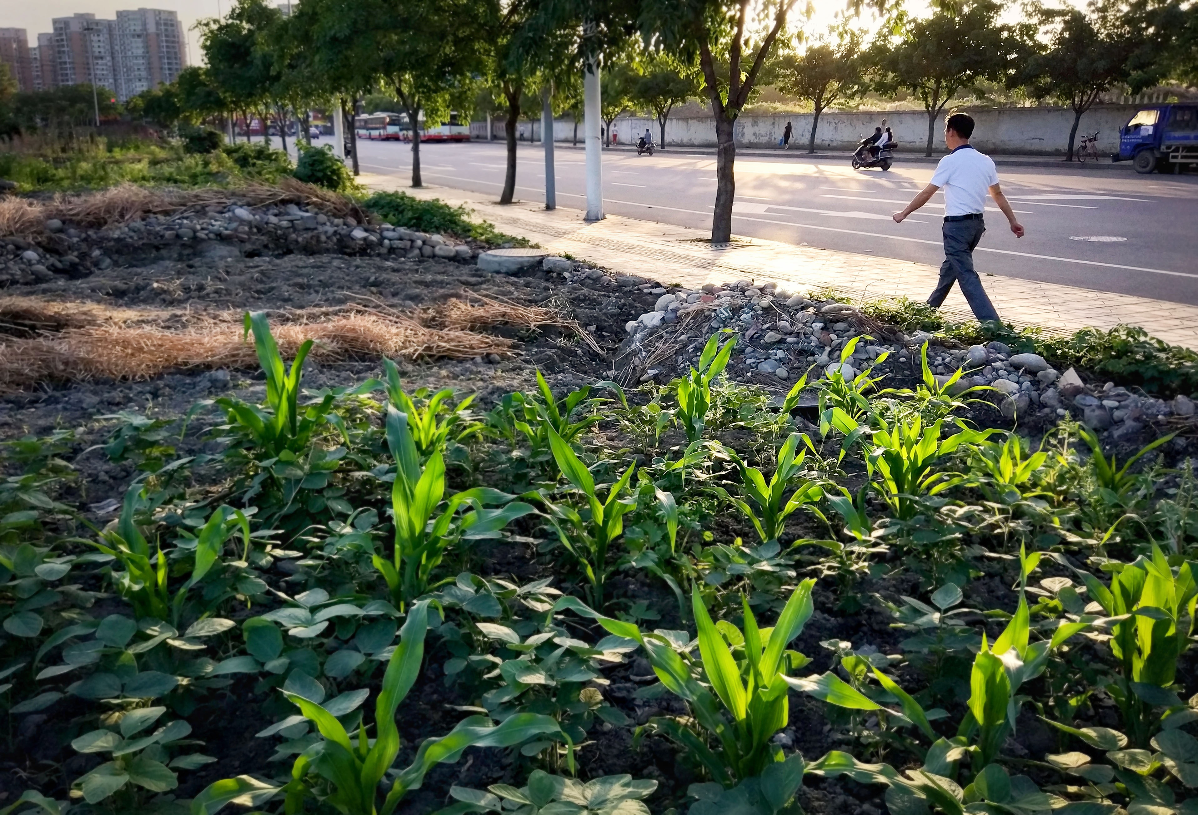汤尼陈的个人主页（封面预览） - 主页封面设置 - 站酷设计师汤尼陈原创素材 - 站酷ZCOOL