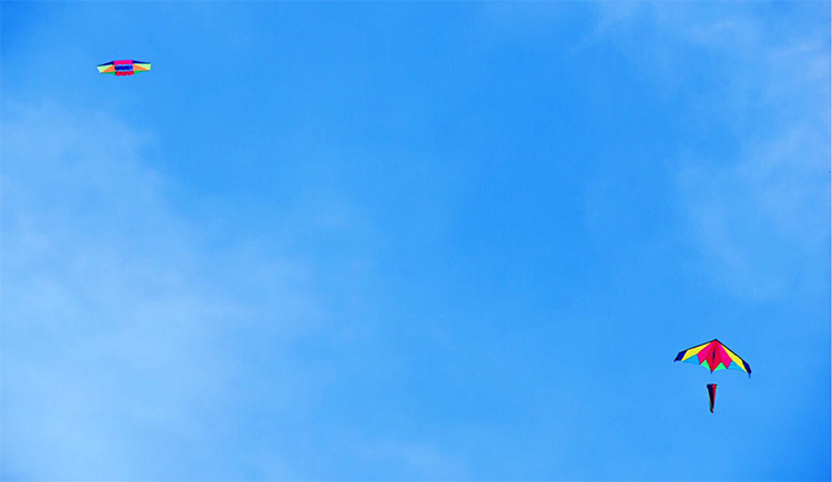 danchongZY的个人主页（封面预览） - 主页封面设置 - 站酷设计师danchongZY原创素材 - 站酷ZCOOL