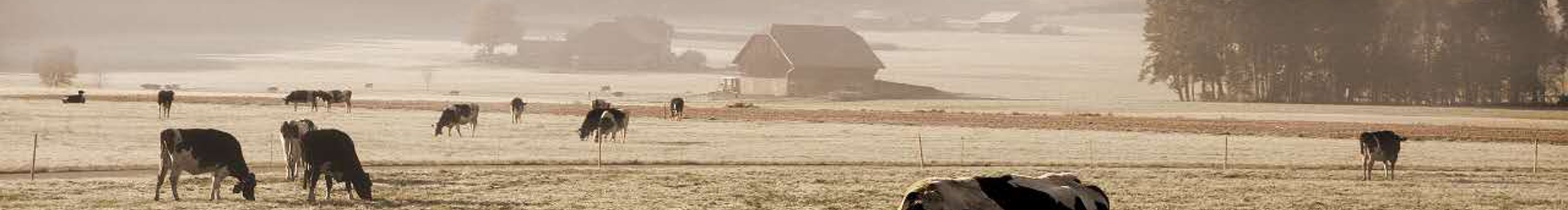 快六年的个人主页（封面预览） - 主页封面设置 - 站酷设计师快六年原创素材 - 站酷ZCOOL