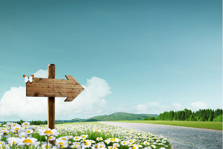 许生禾的个人主页（封面预览） - 主页封面设置 - 站酷设计师许生禾原创素材 - 站酷ZCOOL