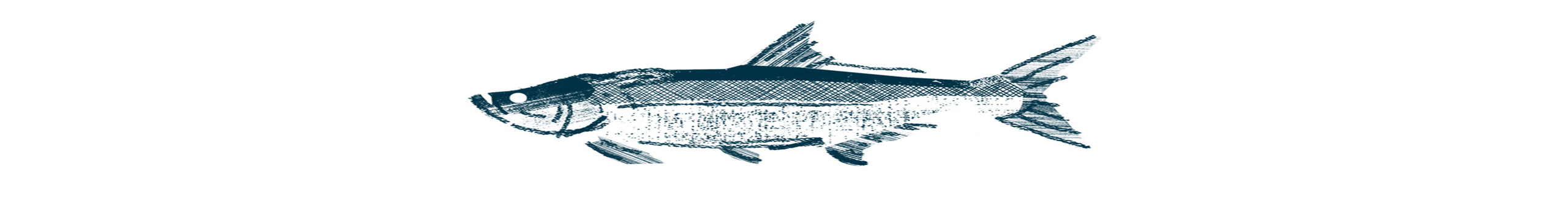 越宮門(mén)的個(gè)人主頁(yè)（封面預(yù)覽） - 主頁(yè)封面設(shè)置 - 站酷設(shè)計(jì)師越宮門(mén)原創(chuàng)素材 - 站酷ZCOOL