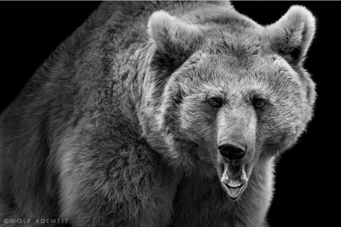 少昊浮生的個人主頁（封面預(yù)覽） - 主頁封面設(shè)置 - 站酷設(shè)計師少昊浮生原創(chuàng)素材 - 站酷ZCOOL