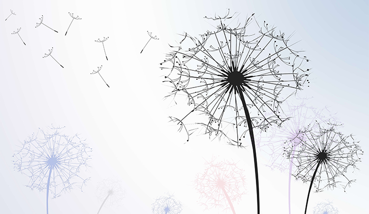 TieYing的個(gè)人主頁（封面預(yù)覽） - 主頁封面設(shè)置 - 站酷設(shè)計(jì)師TieYing原創(chuàng)素材 - 站酷ZCOOL