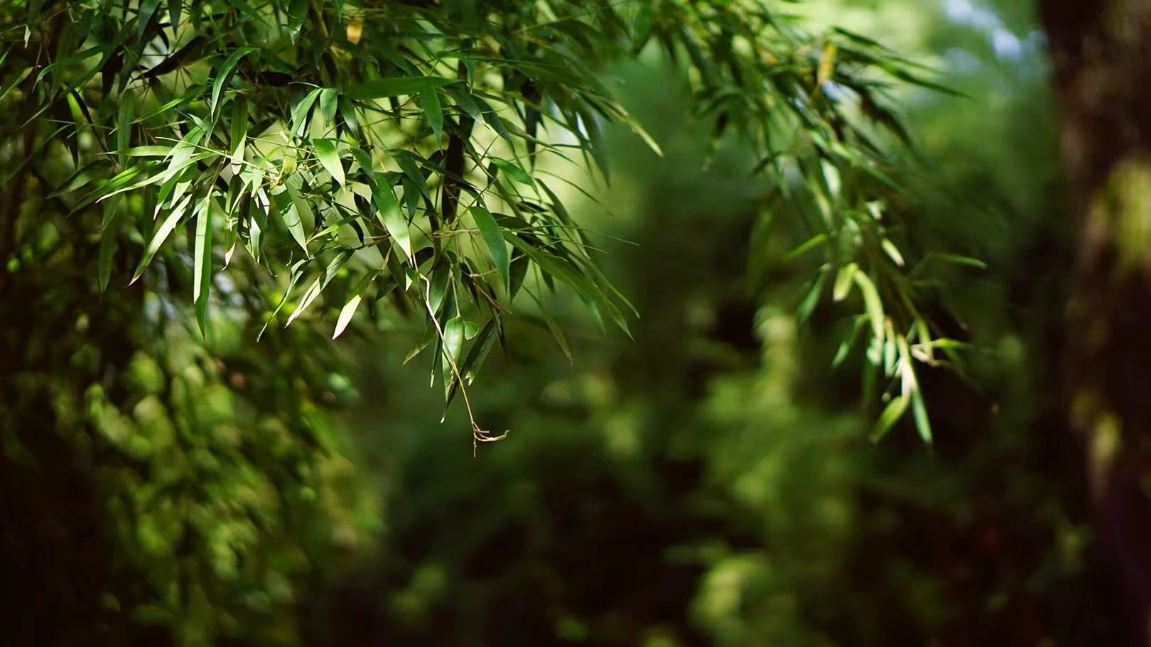 豆圆儿有点圆的个人主页（封面预览） - 主页封面设置 - 站酷设计师豆圆儿有点圆原创素材 - 站酷ZCOOL