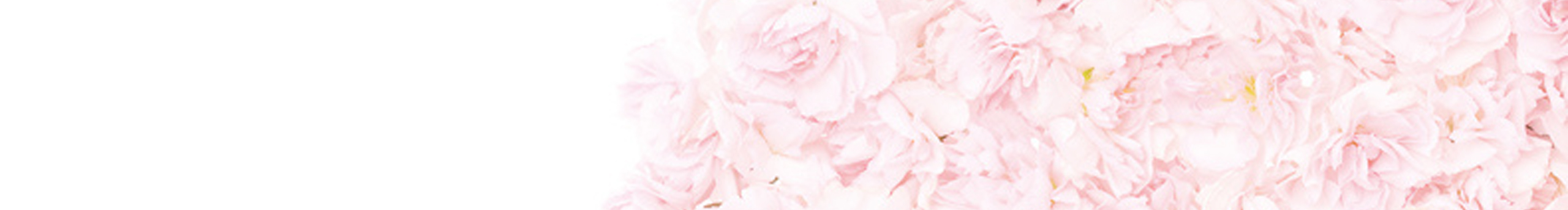 corty的个人主页（封面预览） - 主页封面设置 - 站酷设计师corty原创素材 - 站酷ZCOOL