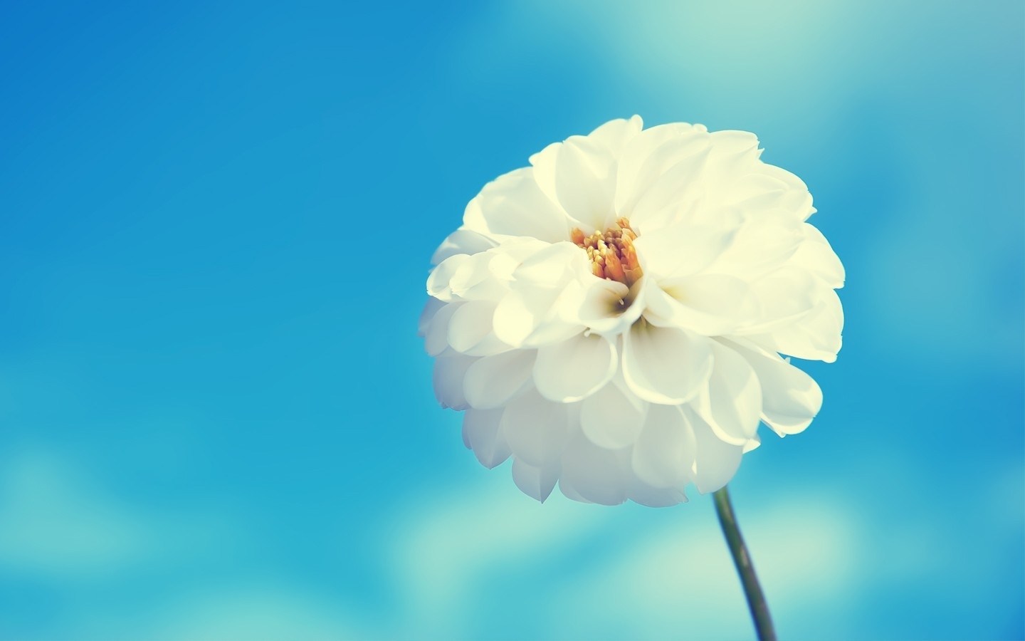 cici0825的個(gè)人主頁(yè)（封面預(yù)覽） - 主頁(yè)封面設(shè)置 - 站酷設(shè)計(jì)師cici0825原創(chuàng)素材 - 站酷ZCOOL