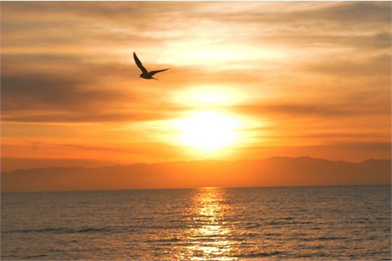 吻淚的你的個人主頁（封面預覽） - 主頁封面設置 - 站酷設計師吻淚的你原創(chuàng)素材 - 站酷ZCOOL