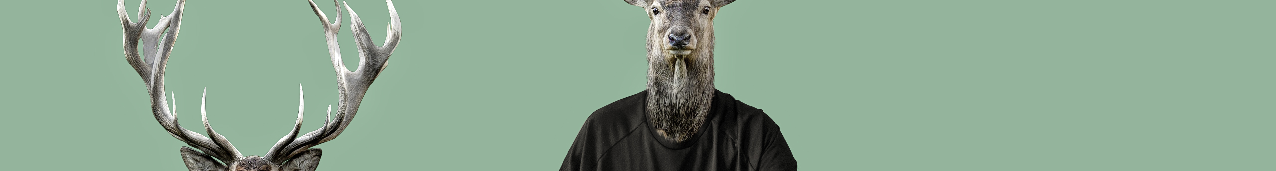 閆寒的個(gè)人主頁(yè)（封面預(yù)覽） - 主頁(yè)封面設(shè)置 - 站酷設(shè)計(jì)師閆寒原創(chuàng)素材 - 站酷ZCOOL