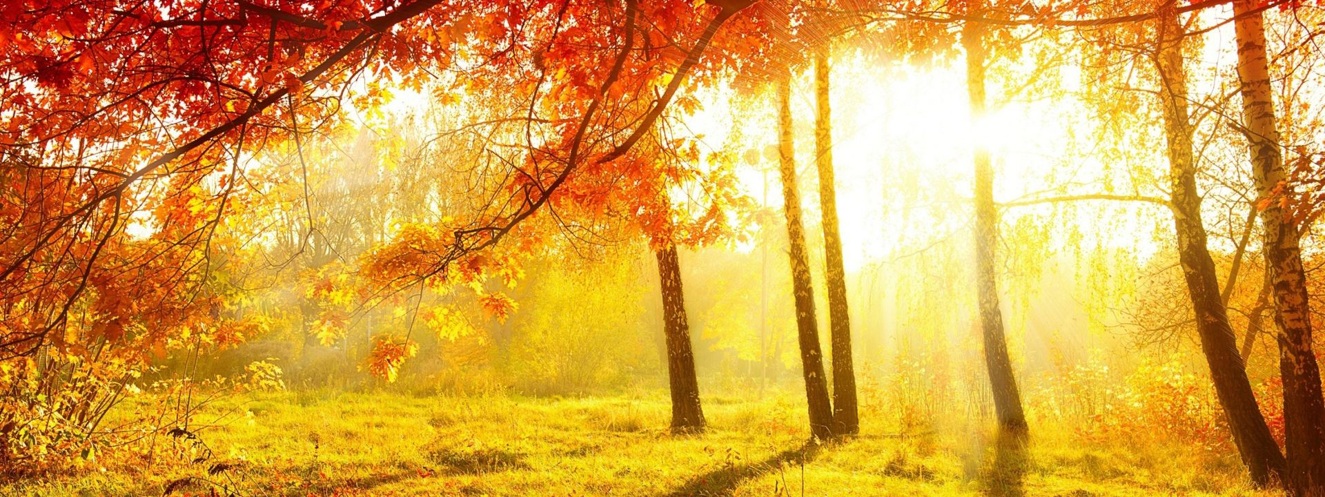 Joan_许仙的个人主页（封面预览） - 主页封面设置 - 站酷设计师Joan_许仙原创素材 - 站酷ZCOOL