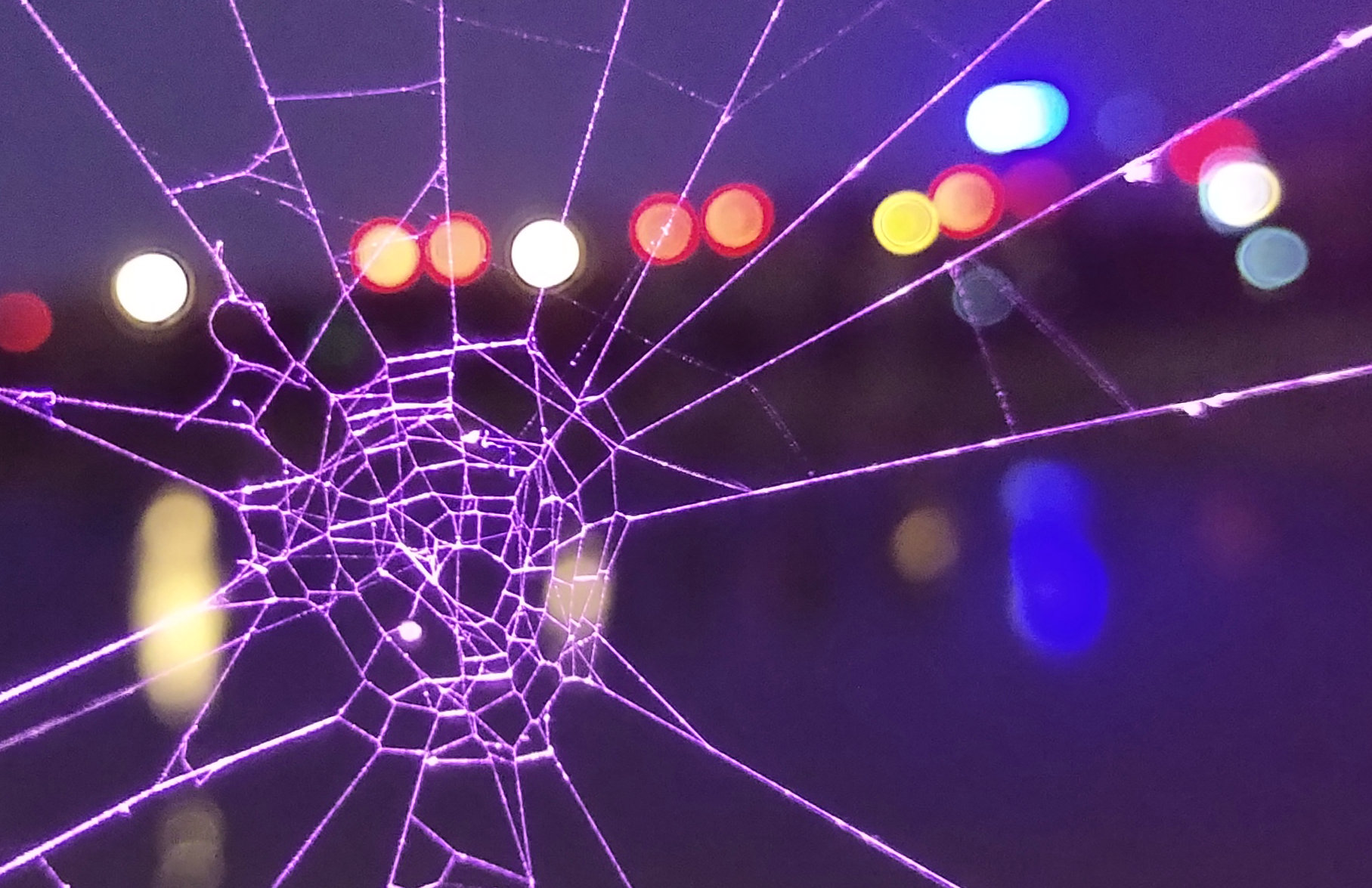 ZBin2009的个人主页（封面预览） - 主页封面设置 - 站酷设计师ZBin2009原创素材 - 站酷ZCOOL