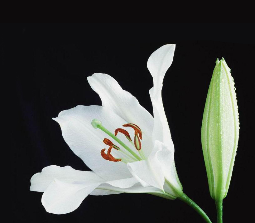 海上明月共潮笙的個(gè)人主頁(yè)（封面預(yù)覽） - 主頁(yè)封面設(shè)置 - 站酷設(shè)計(jì)師海上明月共潮笙原創(chuàng)素材 - 站酷ZCOOL