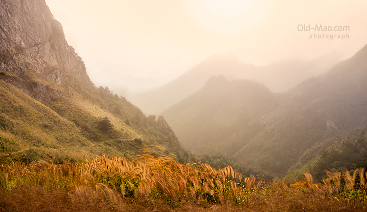 老毛OldMao的個(gè)人主頁(yè)（封面預(yù)覽） - 主頁(yè)封面設(shè)置 - 站酷設(shè)計(jì)師老毛OldMao原創(chuàng)素材 - 站酷ZCOOL