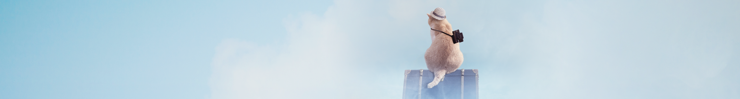 倾城S的个人主页（封面预览） - 主页封面设置 - 站酷设计师倾城S原创素材 - 站酷ZCOOL