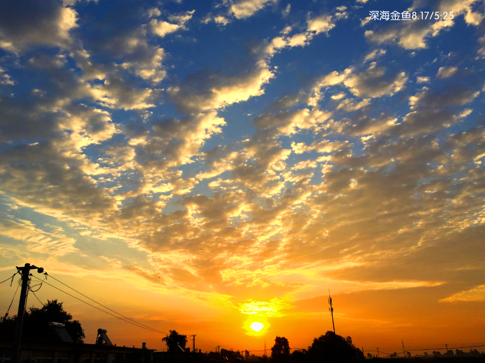 深海金鱼的个人主页（封面预览） - 主页封面设置 - 站酷设计师深海金鱼原创素材 - 站酷ZCOOL
