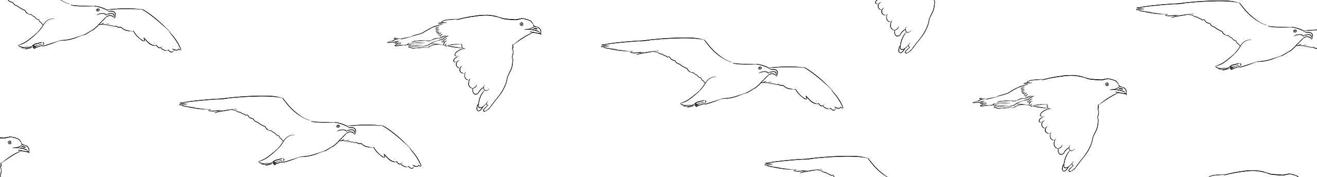 米虫缺钙的个人主页（封面预览） - 主页封面设置 - 站酷设计师米虫缺钙原创素材 - 站酷ZCOOL