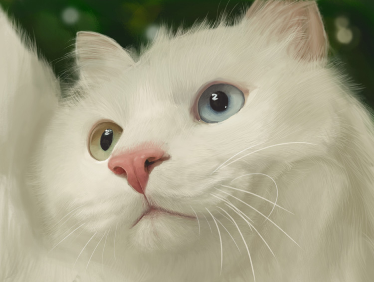 Banana大王的個人主頁（封面預覽） - 主頁封面設置 - 站酷設計師Banana大王原創(chuàng)素材 - 站酷ZCOOL