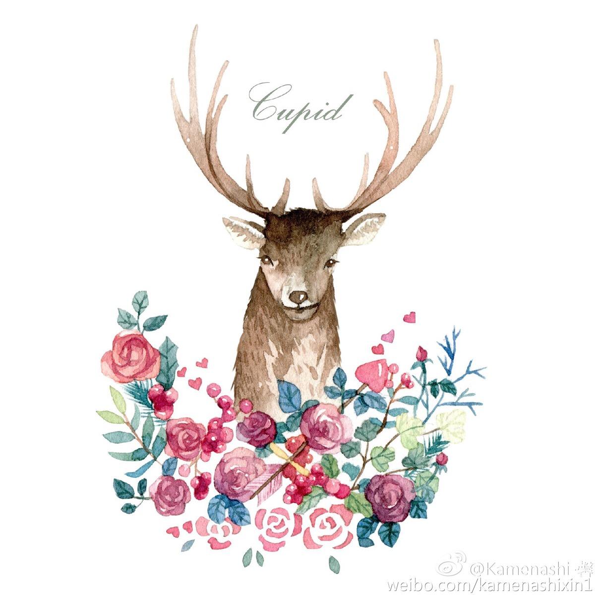 _gala的个人主页（封面预览） - 主页封面设置 - 站酷设计师_gala原创素材 - 站酷ZCOOL