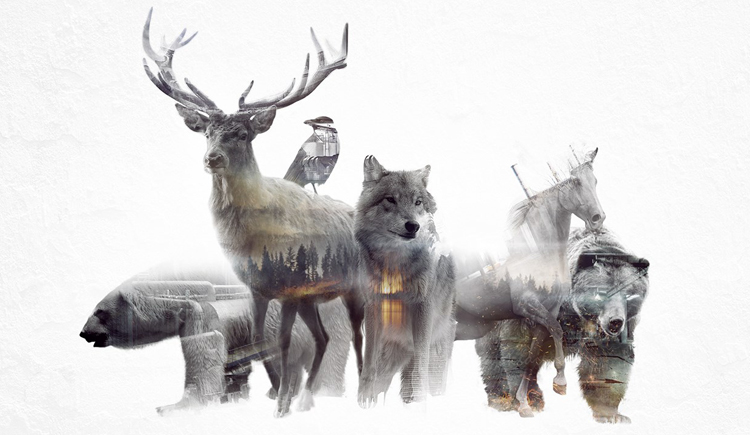 冷風過后的個人主頁（封面預(yù)覽） - 主頁封面設(shè)置 - 站酷設(shè)計師冷風過后原創(chuàng)素材 - 站酷ZCOOL