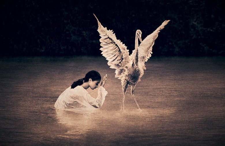 王游歌的個(gè)人主頁（封面預(yù)覽） - 主頁封面設(shè)置 - 站酷設(shè)計(jì)師王游歌原創(chuàng)素材 - 站酷ZCOOL