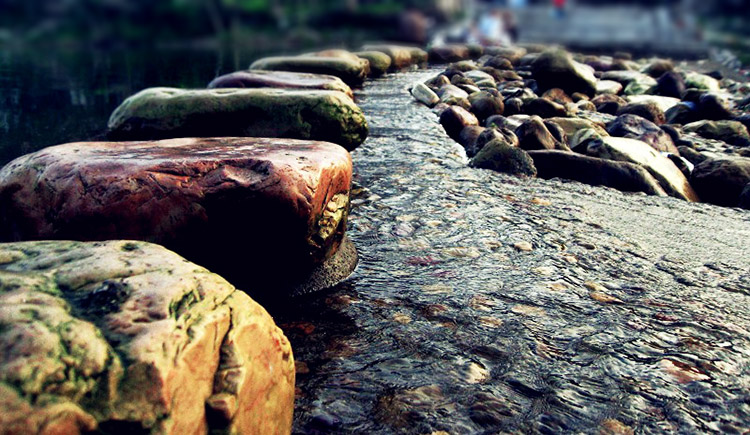 火山设计工作室的个人主页（封面预览） - 主页封面设置 - 站酷设计师火山设计工作室原创素材 - 站酷ZCOOL