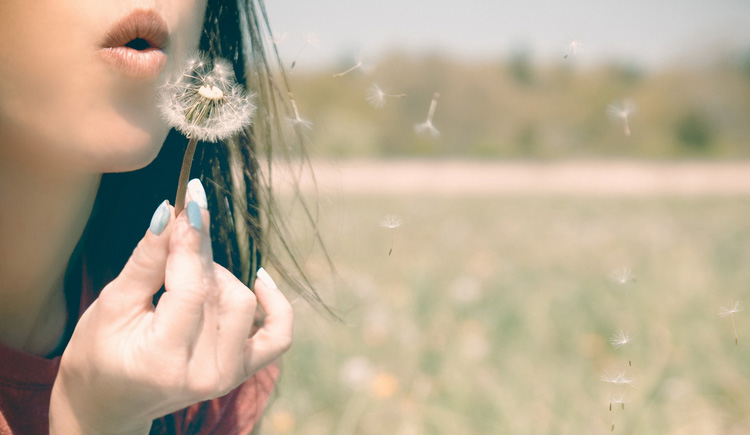 燕子飛翔的個(gè)人主頁（封面預(yù)覽） - 主頁封面設(shè)置 - 站酷設(shè)計(jì)師燕子飛翔原創(chuàng)素材 - 站酷ZCOOL