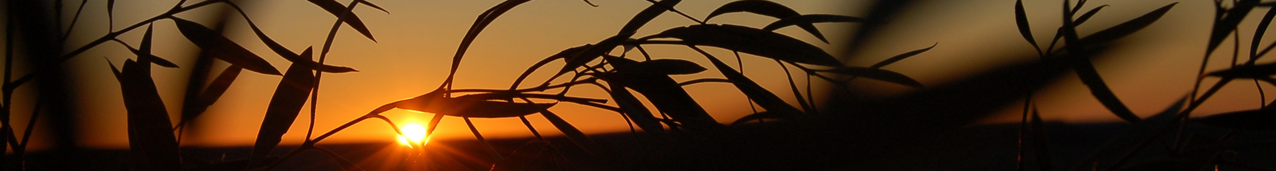 時光奧利奧的個人主頁（封面預(yù)覽） - 主頁封面設(shè)置 - 站酷設(shè)計(jì)師時光奧利奧原創(chuàng)素材 - 站酷ZCOOL