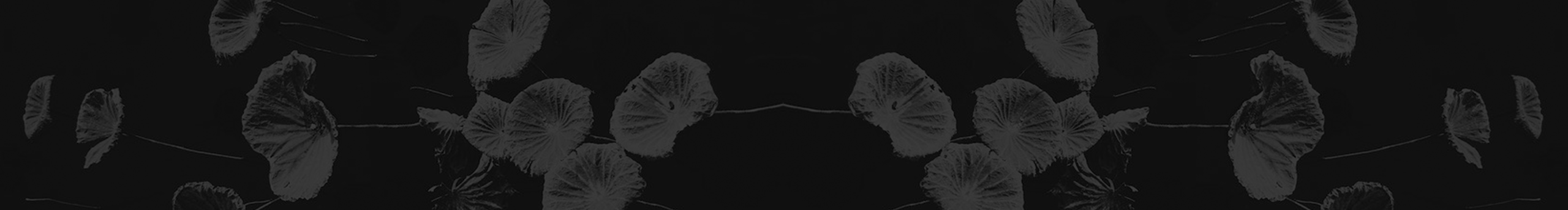 出生的太陽的個人主頁（封面預(yù)覽） - 主頁封面設(shè)置 - 站酷設(shè)計師出生的太陽原創(chuàng)素材 - 站酷ZCOOL