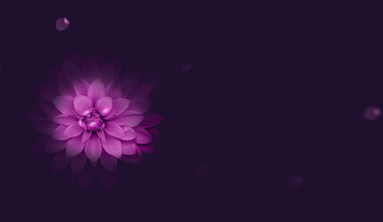 一刹那间的个人主页（封面预览） - 主页封面设置 - 站酷设计师一刹那间原创素材 - 站酷ZCOOL