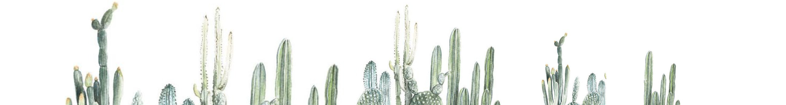 大小徐的个人主页（封面预览） - 主页封面设置 - 站酷设计师大小徐原创素材 - 站酷ZCOOL