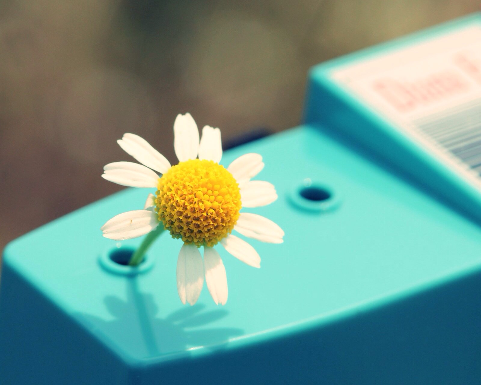 枫飞_的个人主页（封面预览） - 主页封面设置 - 站酷设计师枫飞_原创素材 - 站酷ZCOOL