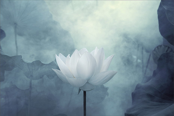 凡谷客的個人主頁（封面預(yù)覽） - 主頁封面設(shè)置 - 站酷設(shè)計師凡谷客原創(chuàng)素材 - 站酷ZCOOL