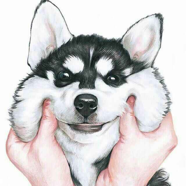 赵庆贺的个人主页（封面预览） - 主页封面设置 - 站酷设计师赵庆贺原创素材 - 站酷ZCOOL