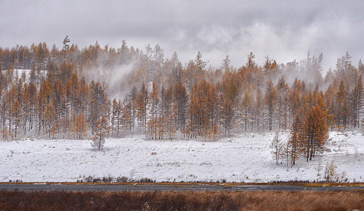 274303479的個人主頁（封面預(yù)覽） - 主頁封面設(shè)置 - 站酷設(shè)計師274303479原創(chuàng)素材 - 站酷ZCOOL