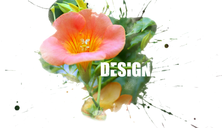 小青椒_xiao的個人主頁（封面預覽） - 主頁封面設(shè)置 - 站酷設(shè)計師小青椒_xiao原創(chuàng)素材 - 站酷ZCOOL