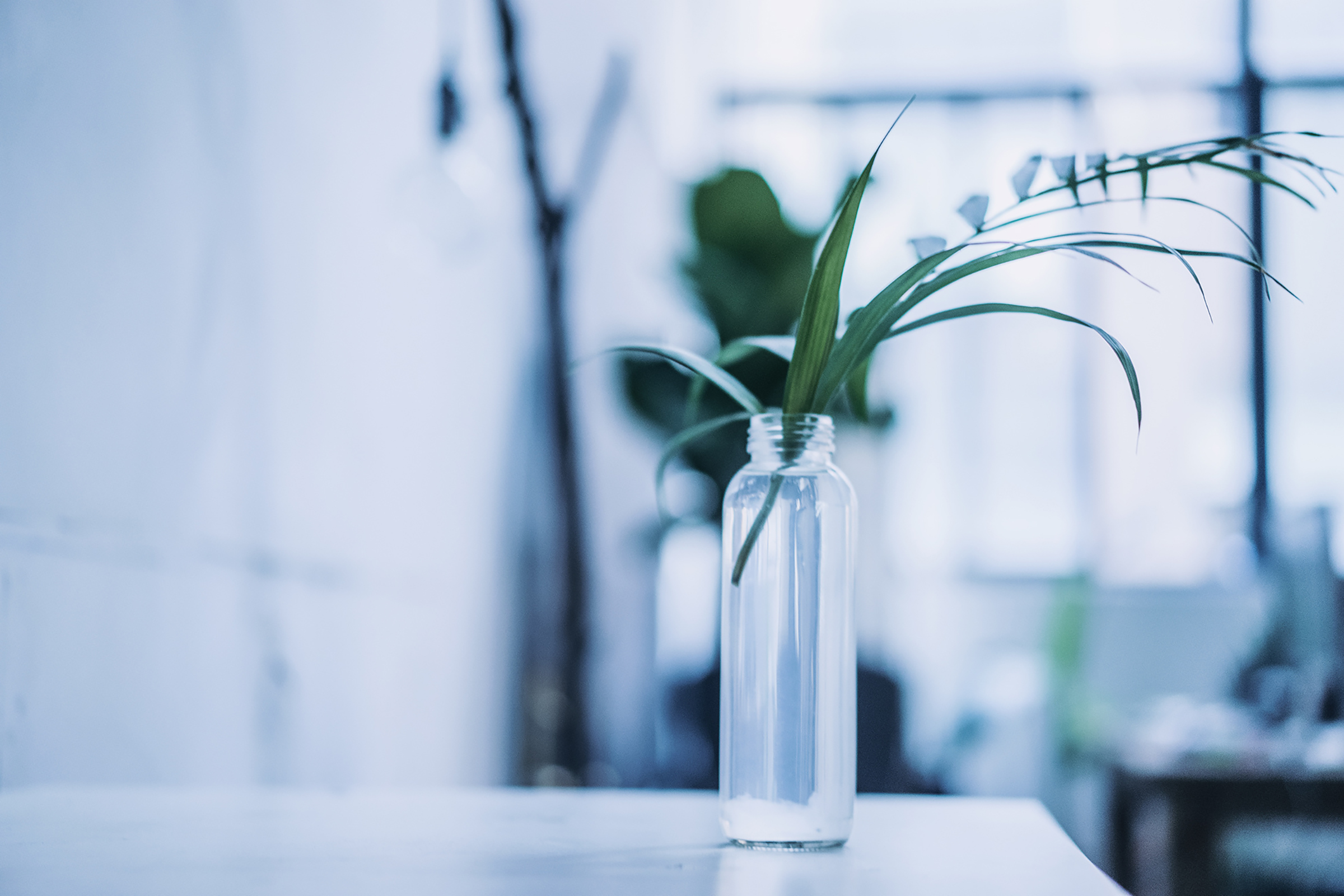 zhiyuan丶的個人主頁（封面預(yù)覽） - 主頁封面設(shè)置 - 站酷設(shè)計(jì)師zhiyuan丶原創(chuàng)素材 - 站酷ZCOOL