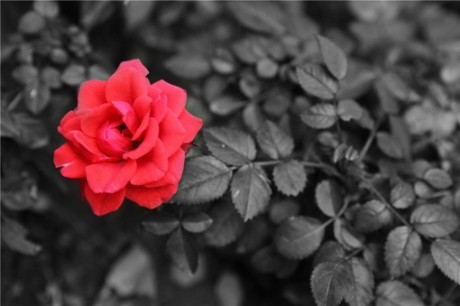 一尾魚4ever的個人主頁（封面預(yù)覽） - 主頁封面設(shè)置 - 站酷設(shè)計師一尾魚4ever原創(chuàng)素材 - 站酷ZCOOL