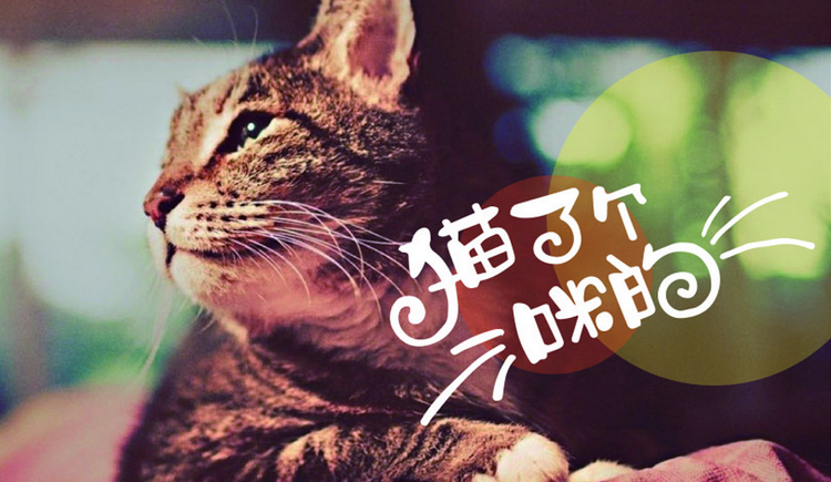 小婷婷公举的个人主页（封面预览） - 主页封面设置 - 站酷设计师小婷婷公举原创素材 - 站酷ZCOOL