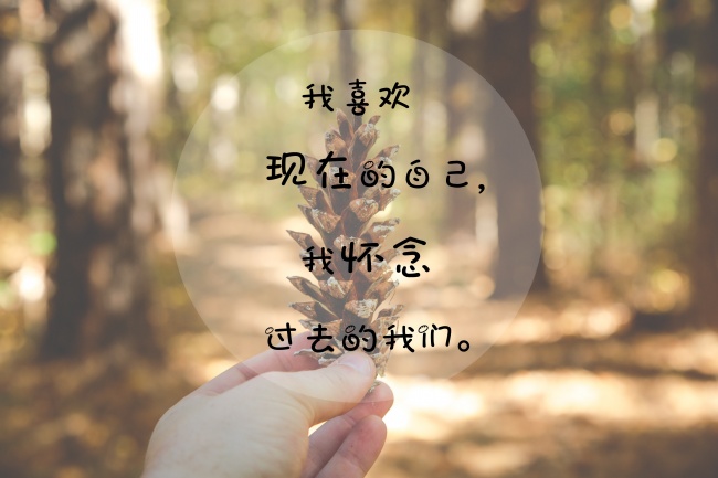 城北以北的思念的個(gè)人主頁(yè)（封面預(yù)覽） - 主頁(yè)封面設(shè)置 - 站酷設(shè)計(jì)師城北以北的思念原創(chuàng)素材 - 站酷ZCOOL