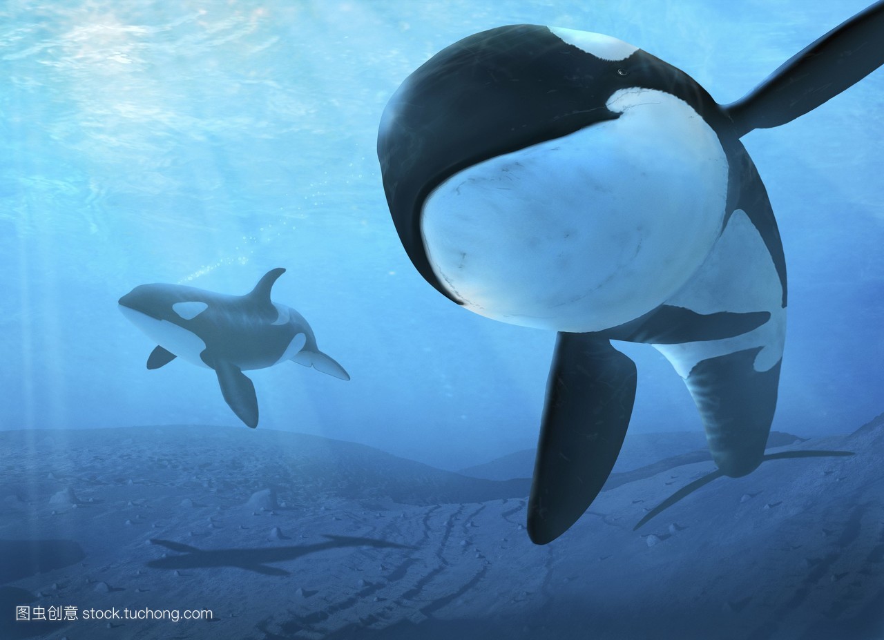 Graperfruit的个人主页（封面预览） - 主页封面设置 - 站酷设计师Graperfruit原创素材 - 站酷ZCOOL