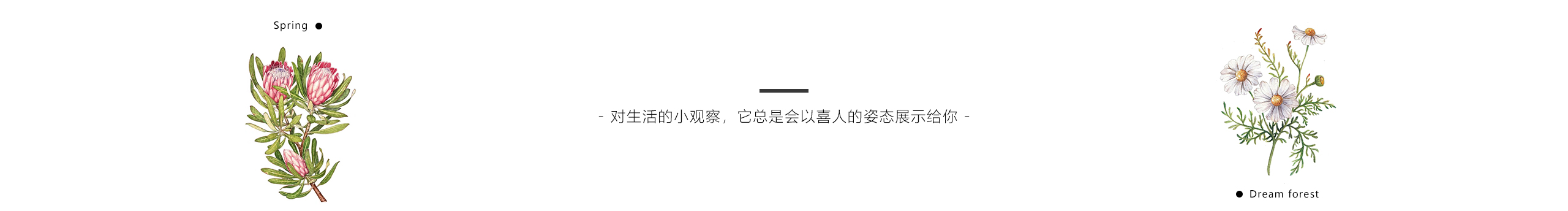 椿椿小河豚的个人主页（封面预览） - 主页封面设置 - 站酷设计师椿椿小河豚原创素材 - 站酷ZCOOL