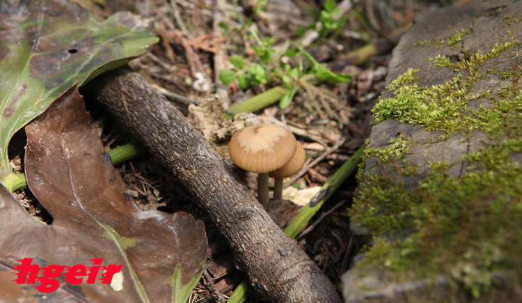 hgeir的个人主页（封面预览） - 主页封面设置 - 站酷设计师hgeir原创素材 - 站酷ZCOOL