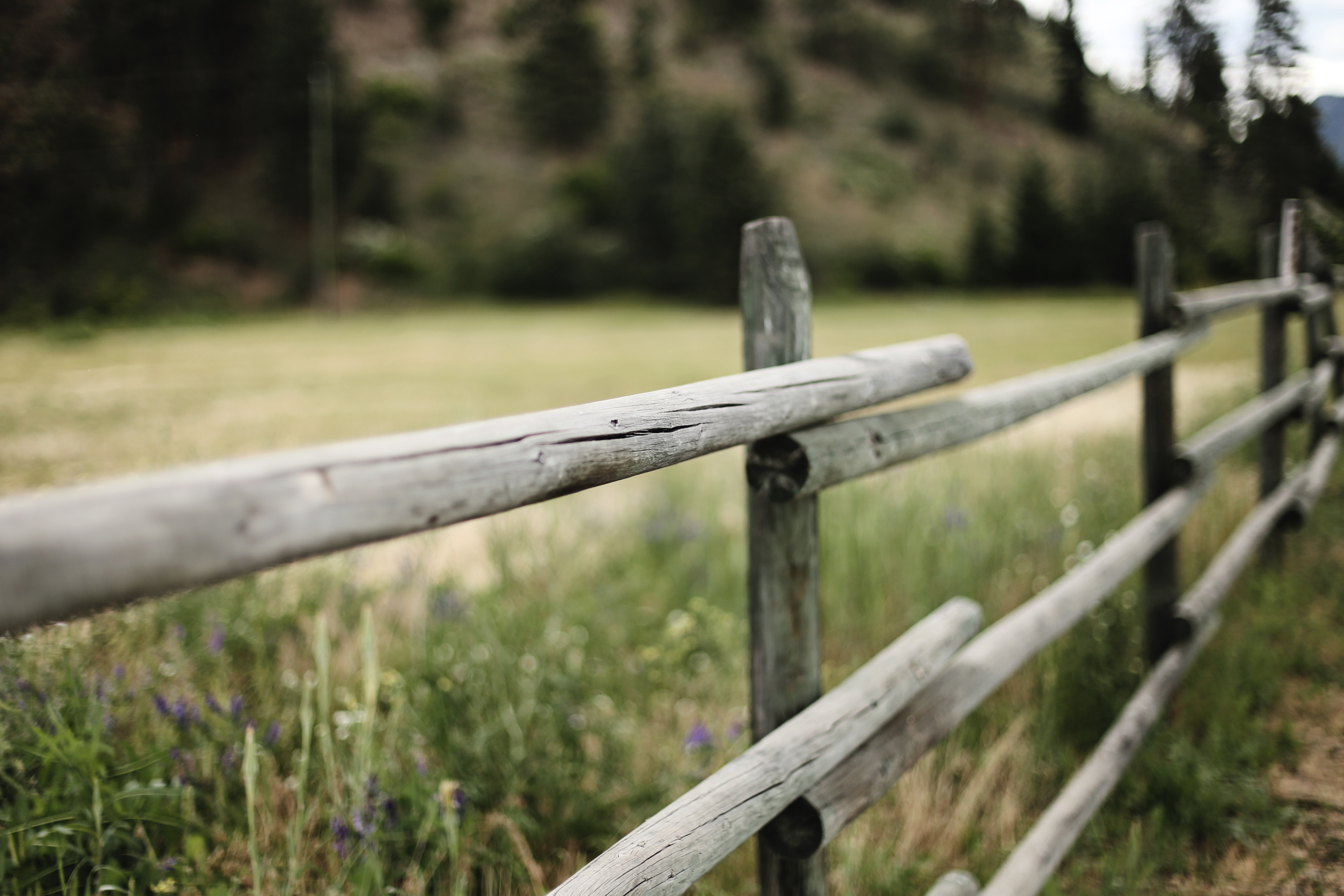 多吃点饭duo的个人主页（封面预览） - 主页封面设置 - 站酷设计师多吃点饭duo原创素材 - 站酷ZCOOL