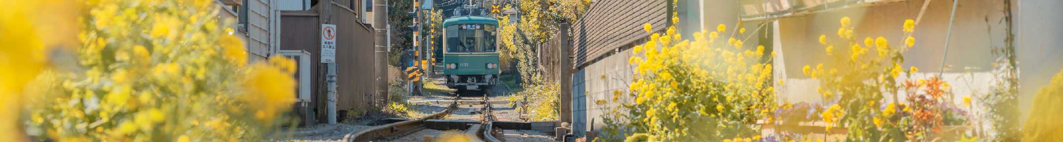 G杰杰的個(gè)人主頁（封面預(yù)覽） - 主頁封面設(shè)置 - 站酷設(shè)計(jì)師G杰杰原創(chuàng)素材 - 站酷ZCOOL