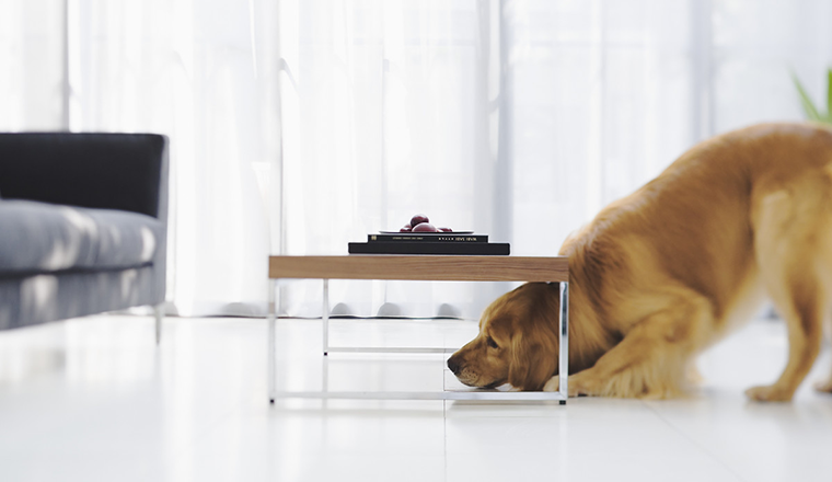 蔷薇物语的个人主页（封面预览） - 主页封面设置 - 站酷设计师蔷薇物语原创素材 - 站酷ZCOOL