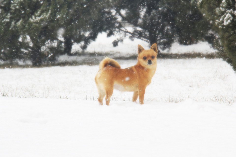 斐斐呀的个人主页（封面预览） - 主页封面设置 - 站酷设计师斐斐呀原创素材 - 站酷ZCOOL