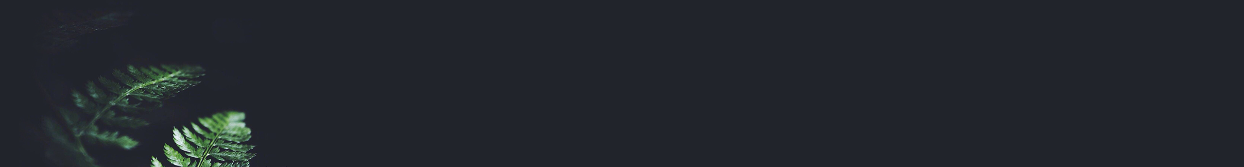 tan小談的個(gè)人主頁(yè)（封面預(yù)覽） - 主頁(yè)封面設(shè)置 - 站酷設(shè)計(jì)師tan小談原創(chuàng)素材 - 站酷ZCOOL