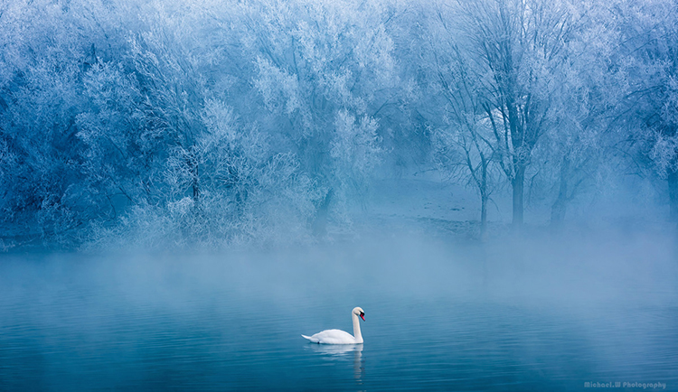 君君的小啞巴的個(gè)人主頁（封面預(yù)覽） - 主頁封面設(shè)置 - 站酷設(shè)計(jì)師君君的小啞巴原創(chuàng)素材 - 站酷ZCOOL