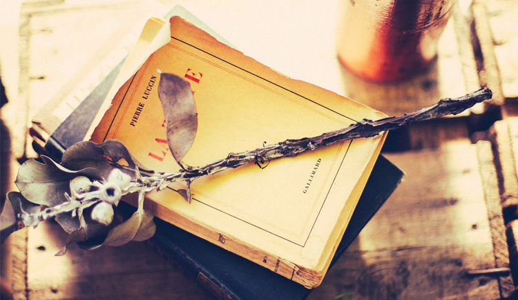 劉小貝的個(gè)人主頁(yè)（封面預(yù)覽） - 主頁(yè)封面設(shè)置 - 站酷設(shè)計(jì)師劉小貝原創(chuàng)素材 - 站酷ZCOOL